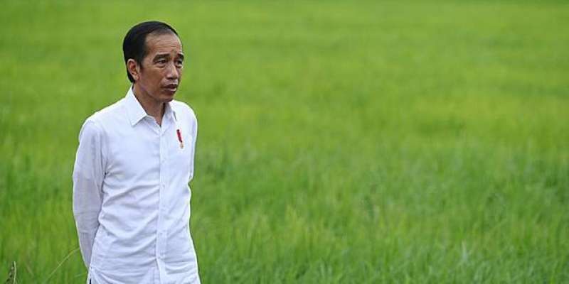 jokowi-sebut-18-lembaga-akan-dibubarkan-dalam-waktu-dekat