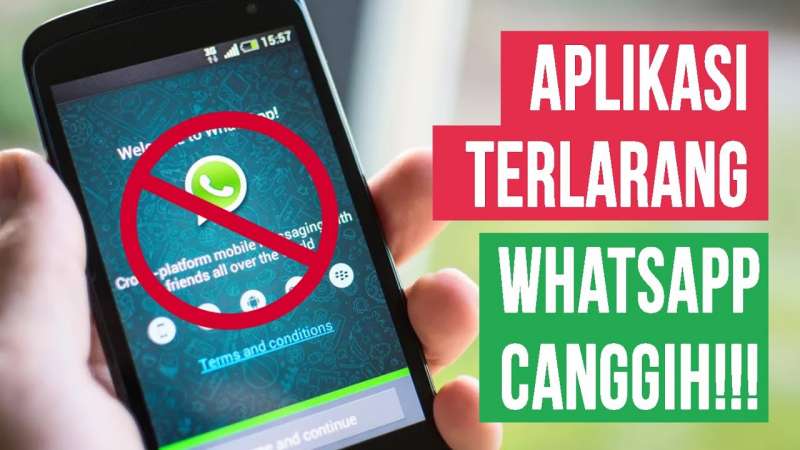 beberapa-penjelasan-aplikasi-whatsap-mod-terlarang-dan-resiko-menggunakannya