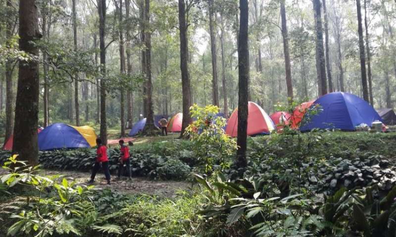 4-camping-ground-dengan-pemandangan-indah-di-tnghs-pamijahan