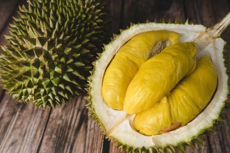 mengandung-alkohol-kenapa-durian-halal-dimakan