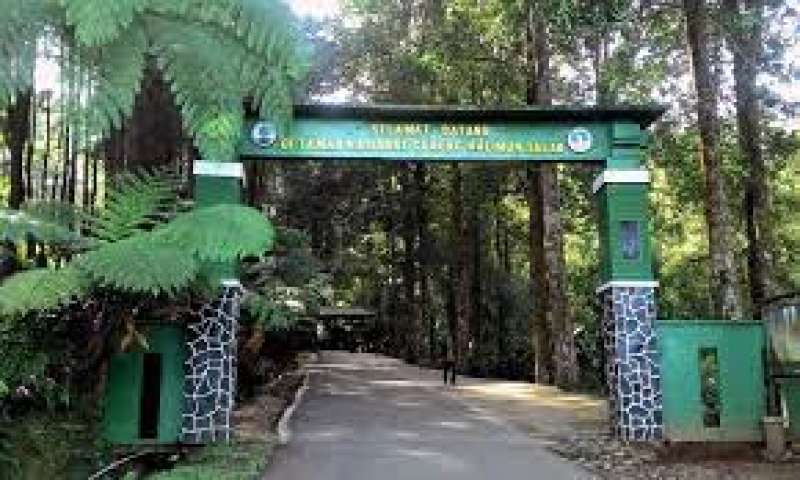 wisata-alam-di-bogor-wajib-banget-di-cobaa