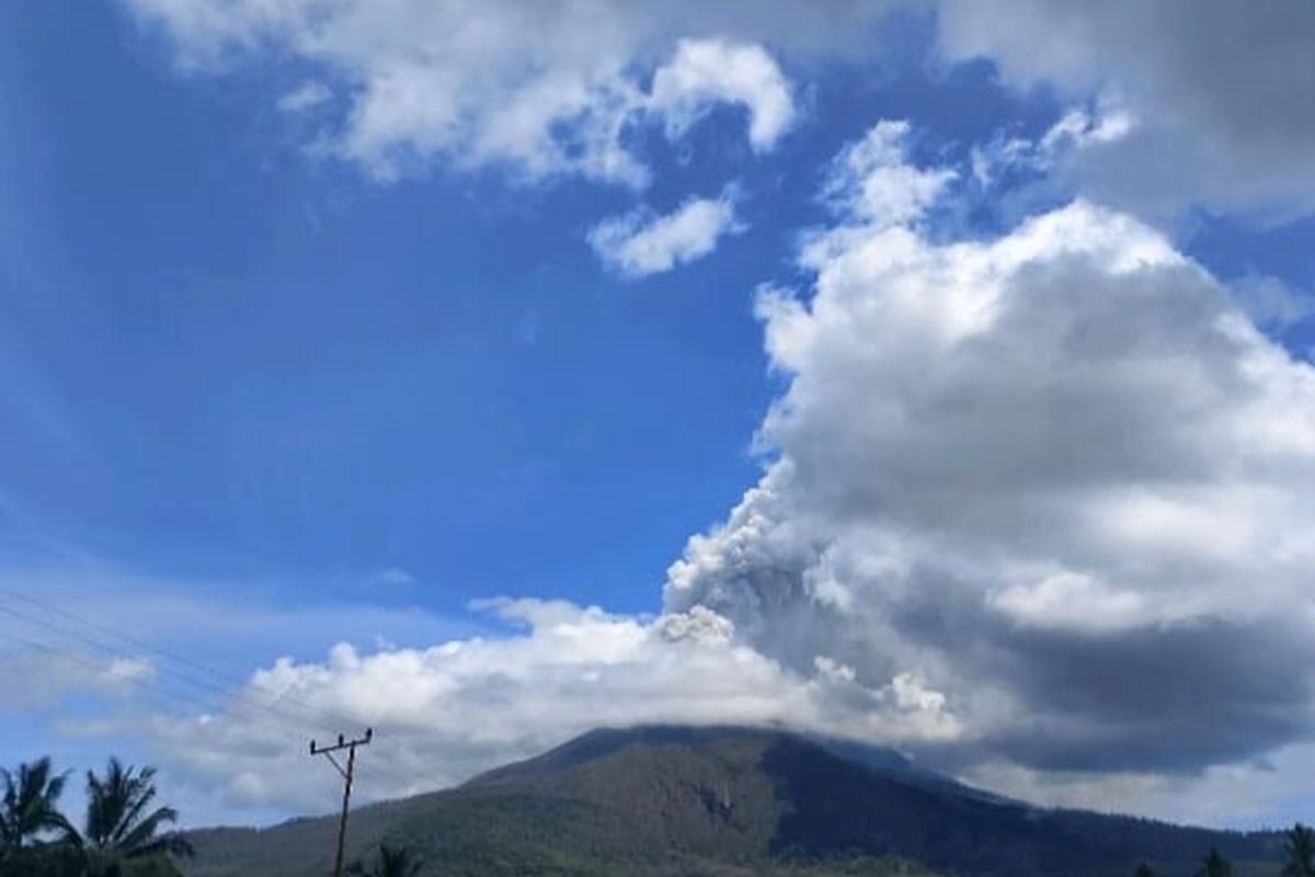 Gunung Lewotobi Laki-Laki Erupsi, Kolom Abu Capai 1.100 Meter