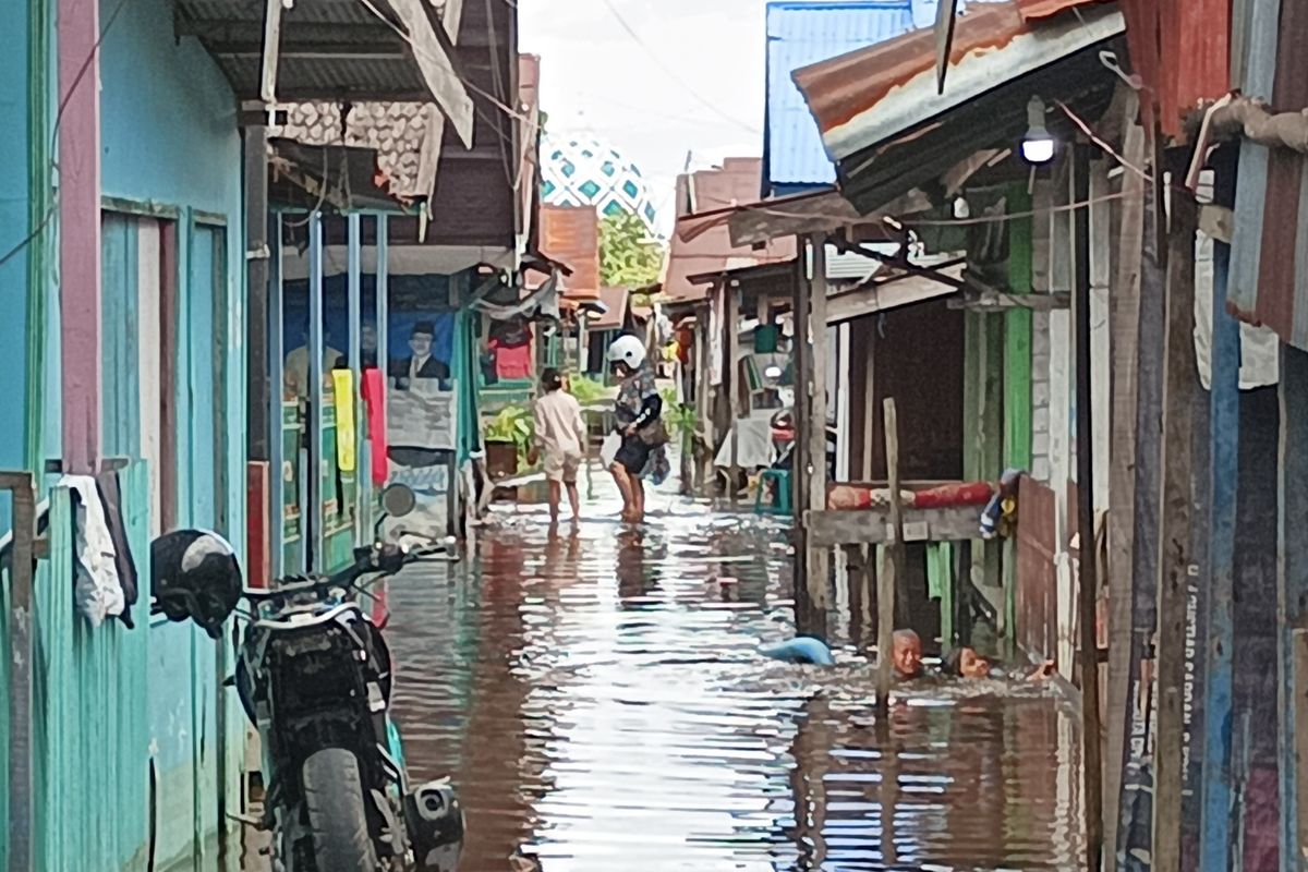 krisis-lingkungan-di-kalteng-banjir-meluas-akibat-deforestasi-besar-besaran