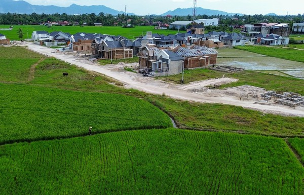 875-hektare-lahan-sawah-di-padang-menyusut-akibat-alih-fungsi-ancaman-bagi-ketahanan-pangan