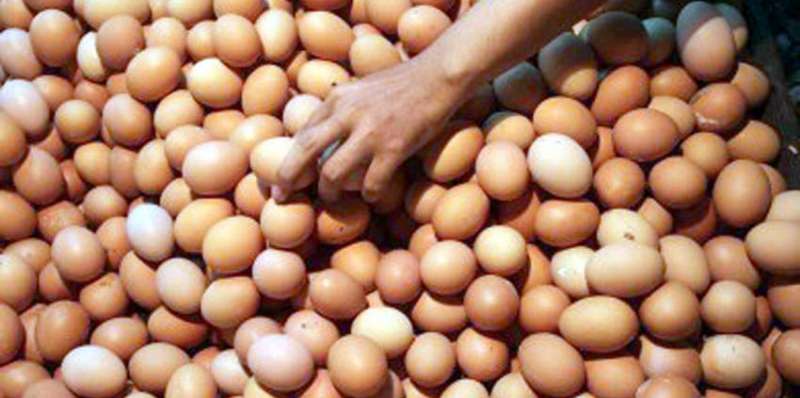 harga-pangan-di-jakarta-hari-ini-telur-ayam-tembus-rp-30-276