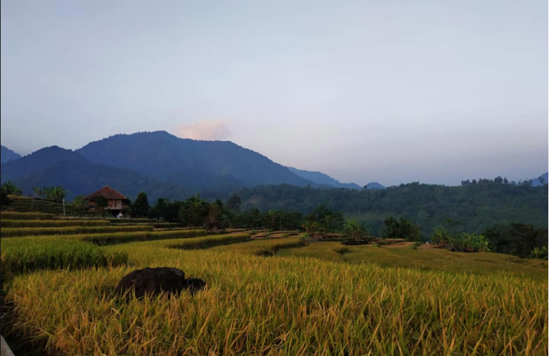 kolaborasi-tim-pengabdi-universitas-pakuan-dan-pengelola-wisata-desa-ciasmara