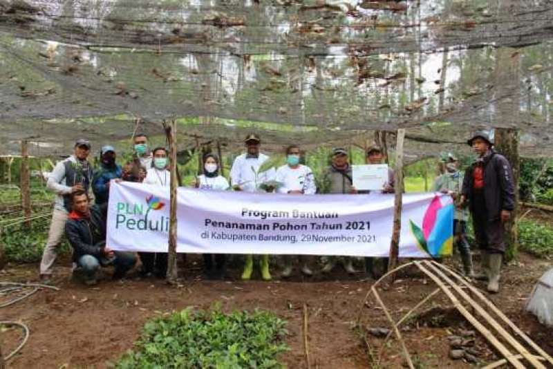 peringati-hari-menanam-pohon-indonesia-pln-tanam-ribuan-bibit-pohon-produktif