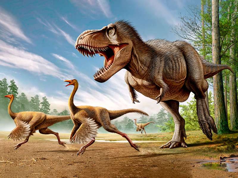 ilmuwan-berhasil-identifikasi-fosil-dinosaurus-berusia-115-juta-tahun