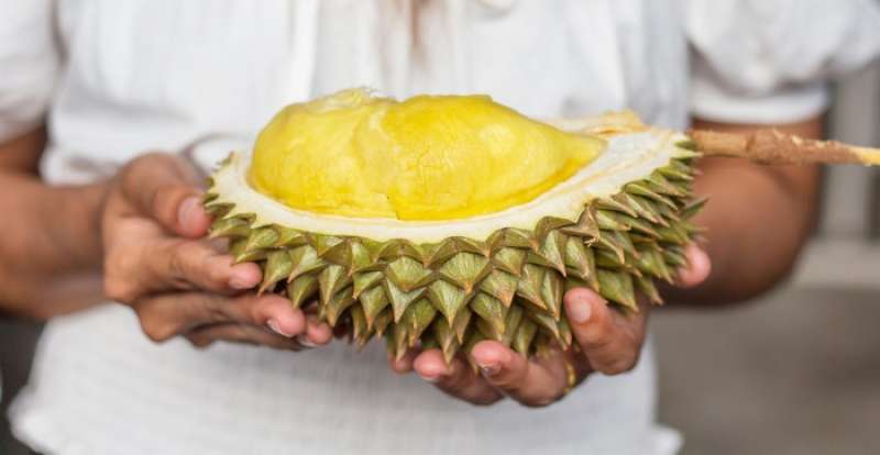 penjual-durian-ini-patok-harga-sesuai-mobil-pelanggan